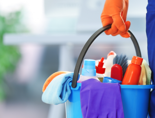 Understanding Your Legal Obligations as an Employer of Domestic Workers