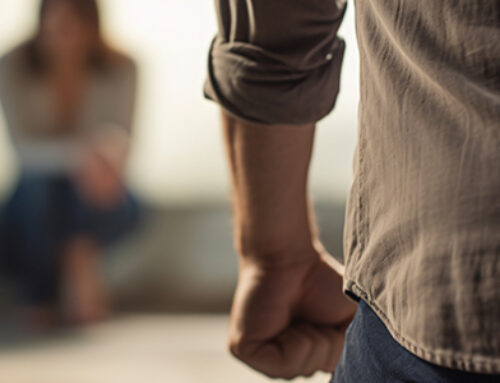 Siblings Feuding Over a Business: Can You Get a Domestic Violence Protection Order?